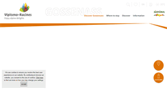 Desktop Screenshot of gossensass.org